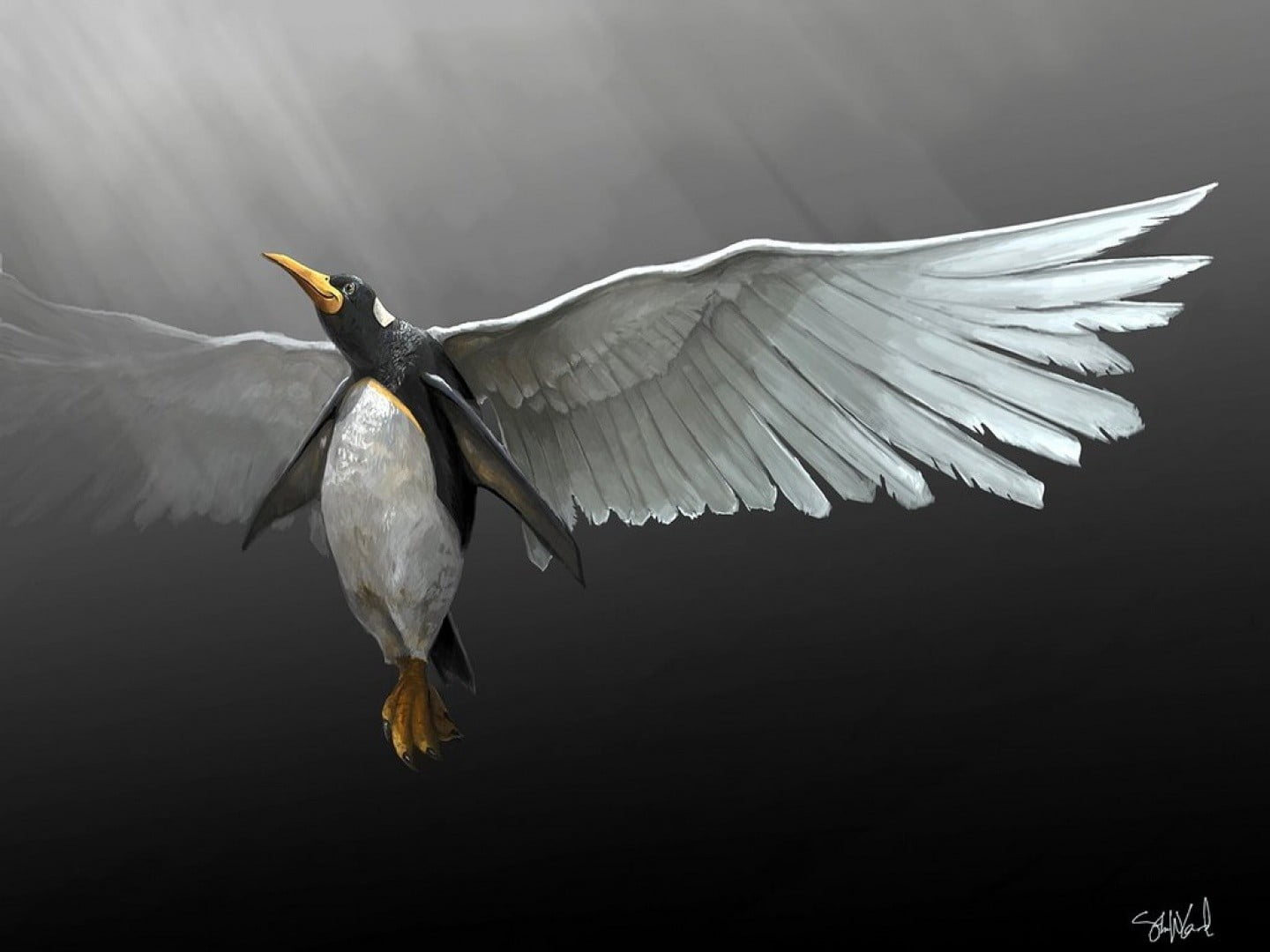Flying Penguin Digital Wallpaper Linux Gnu HD