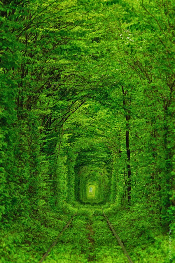 500px Photo Klevan Tunnel Of Love By Volodymyr Gryniuk