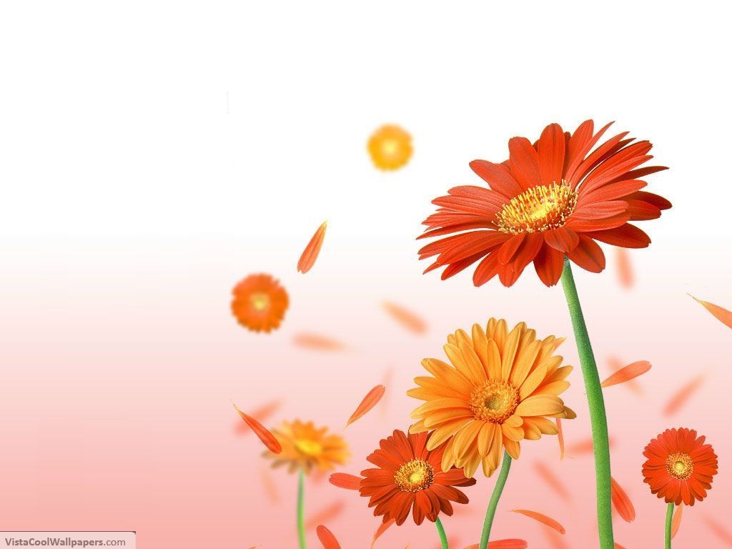 Flower Google Photo