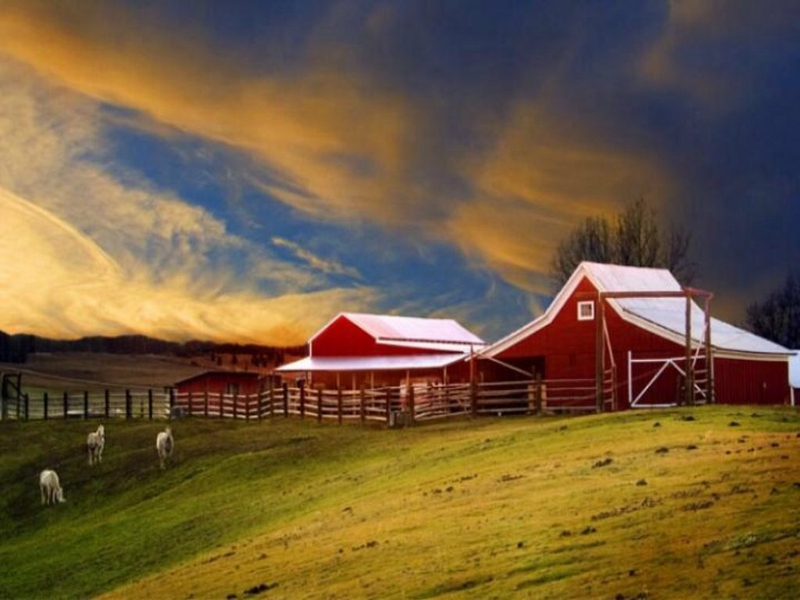 Cabin Farm Nature Fields HD Desktop Wallpaper