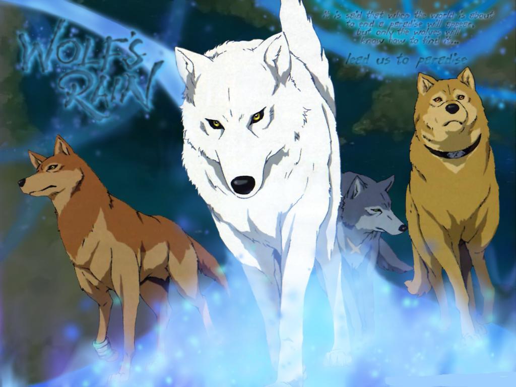 Anime Rain Wallpaper Wolfs Fond D Cran