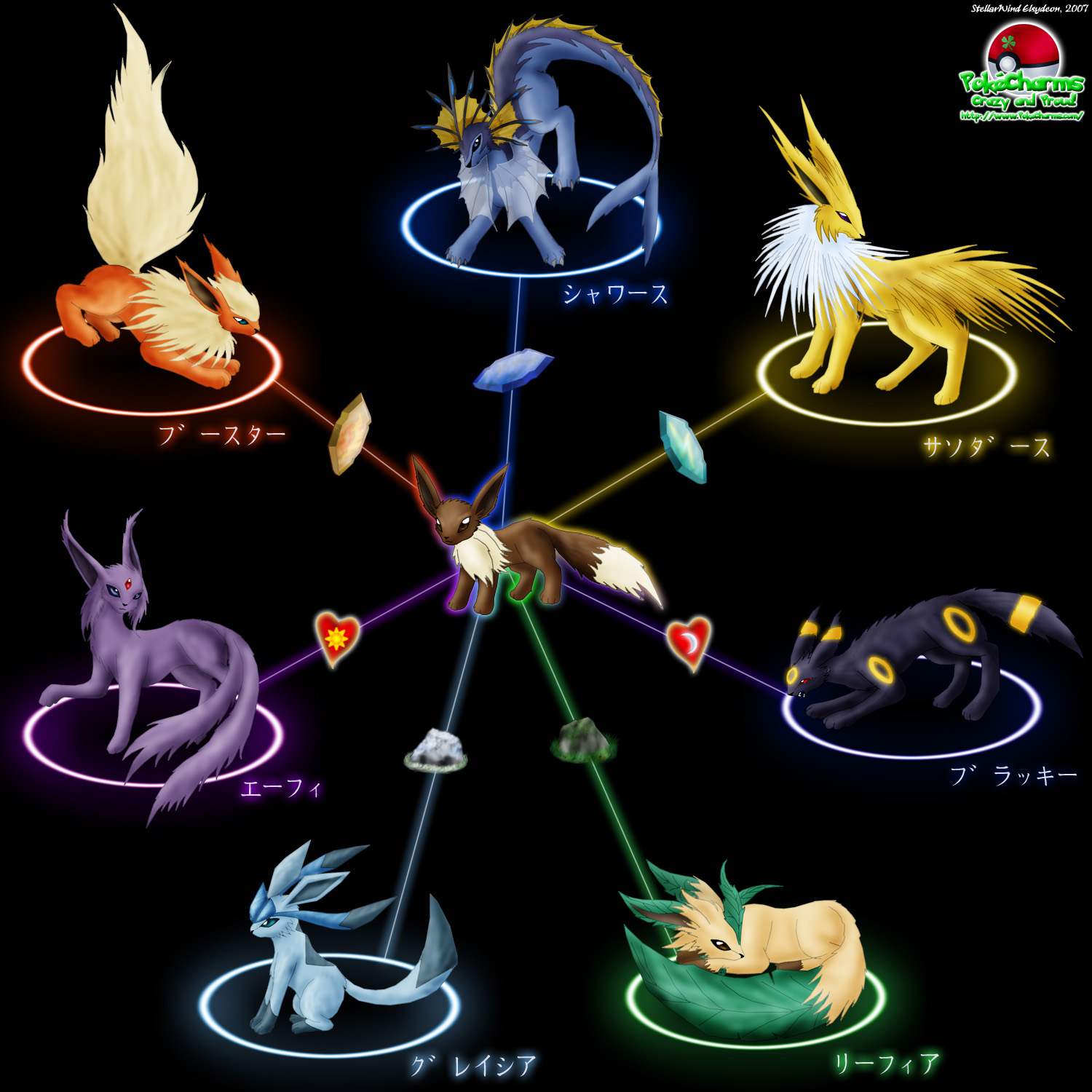 Eevee Evolutions Eeveelutions Pokemon Wallpaper