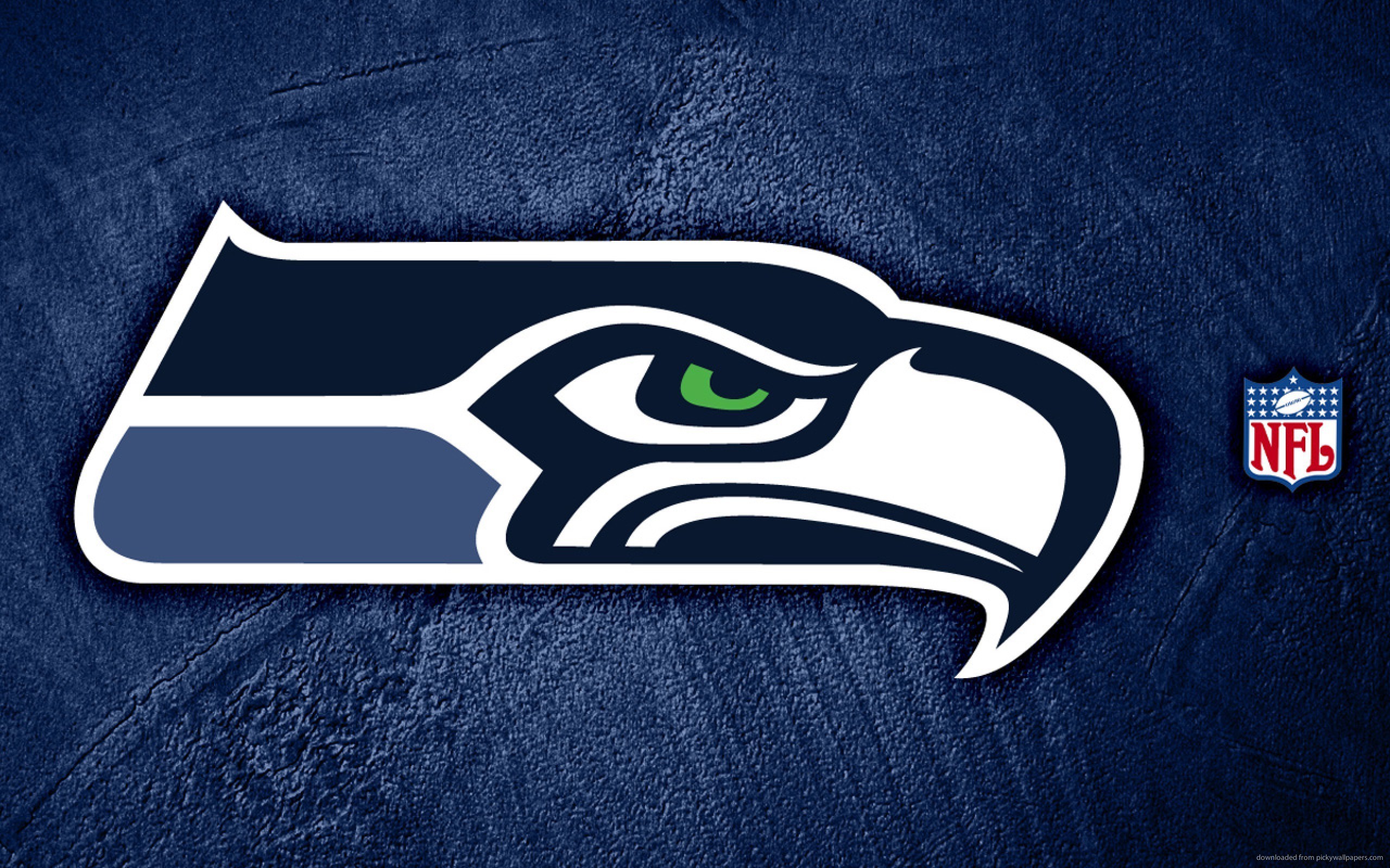 Seattle Seahawks NFL for 2560x1600