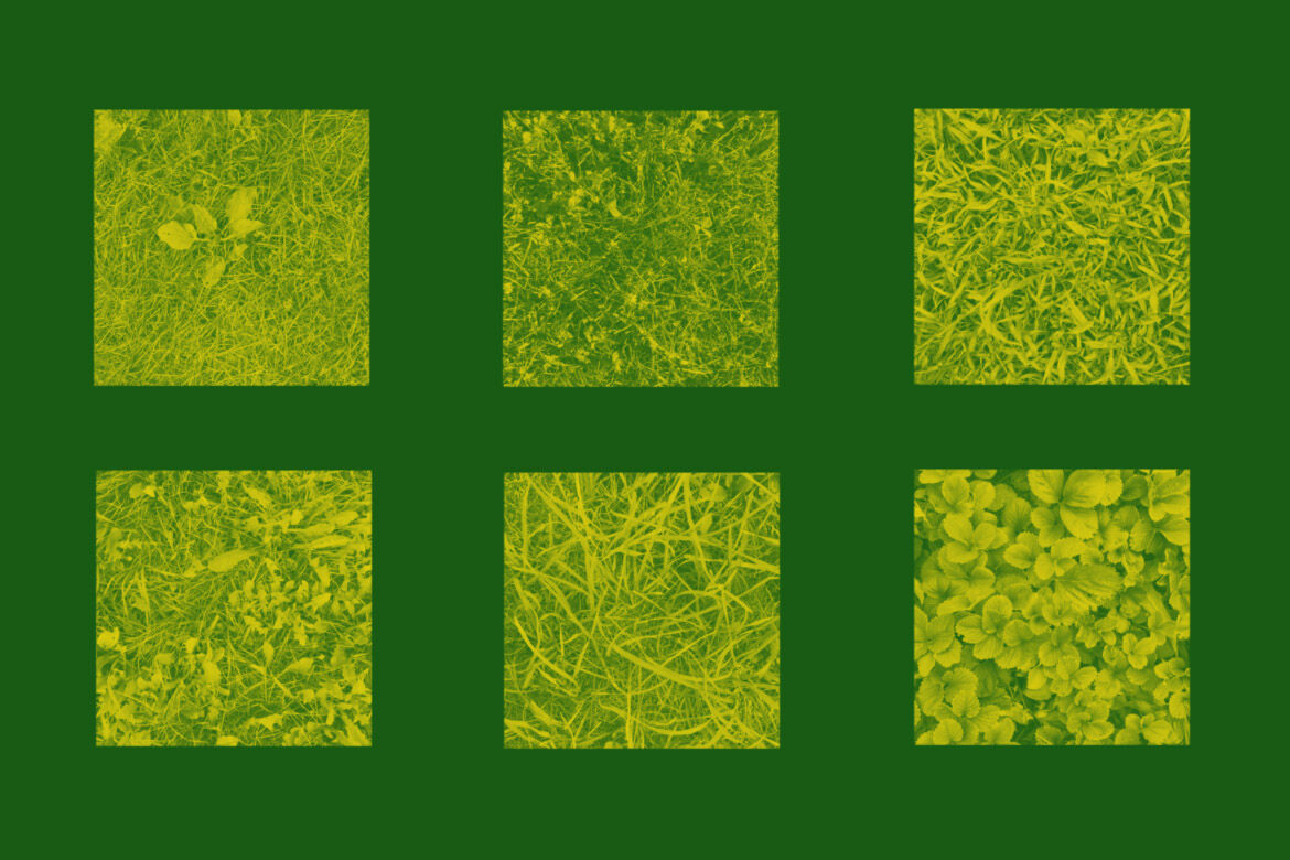 Grass Texture Photoshop Stamp Brushes By Artistmef Wallpaper
