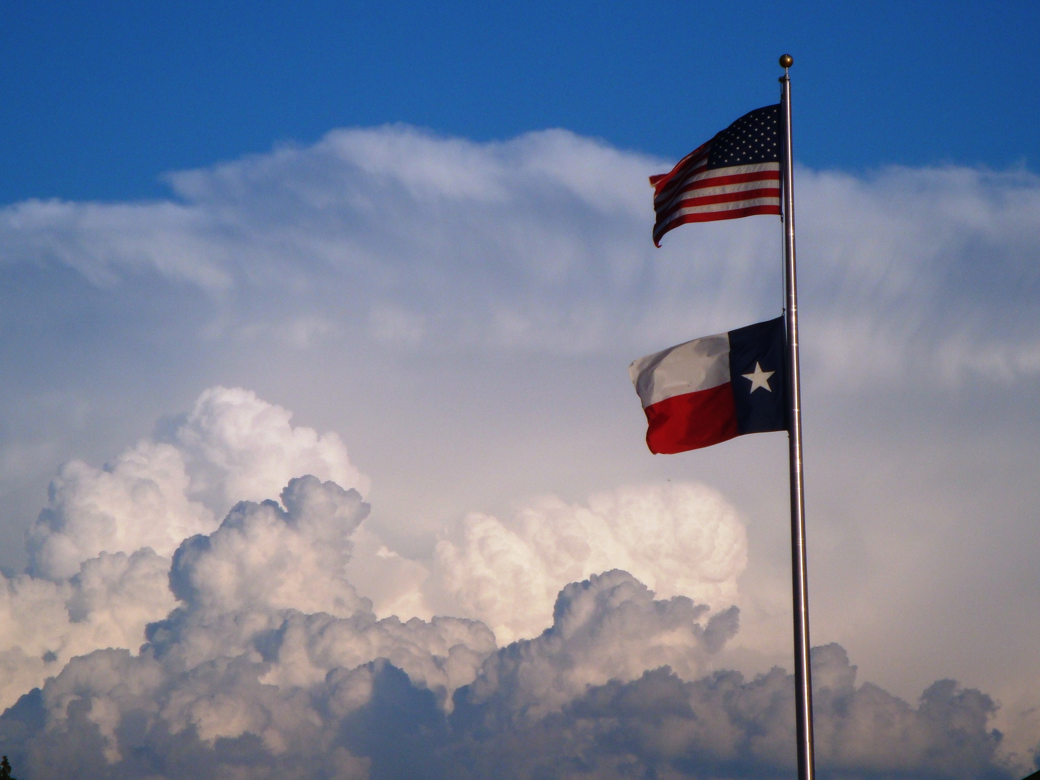 State Of Texas Flag Wallpaper United States And