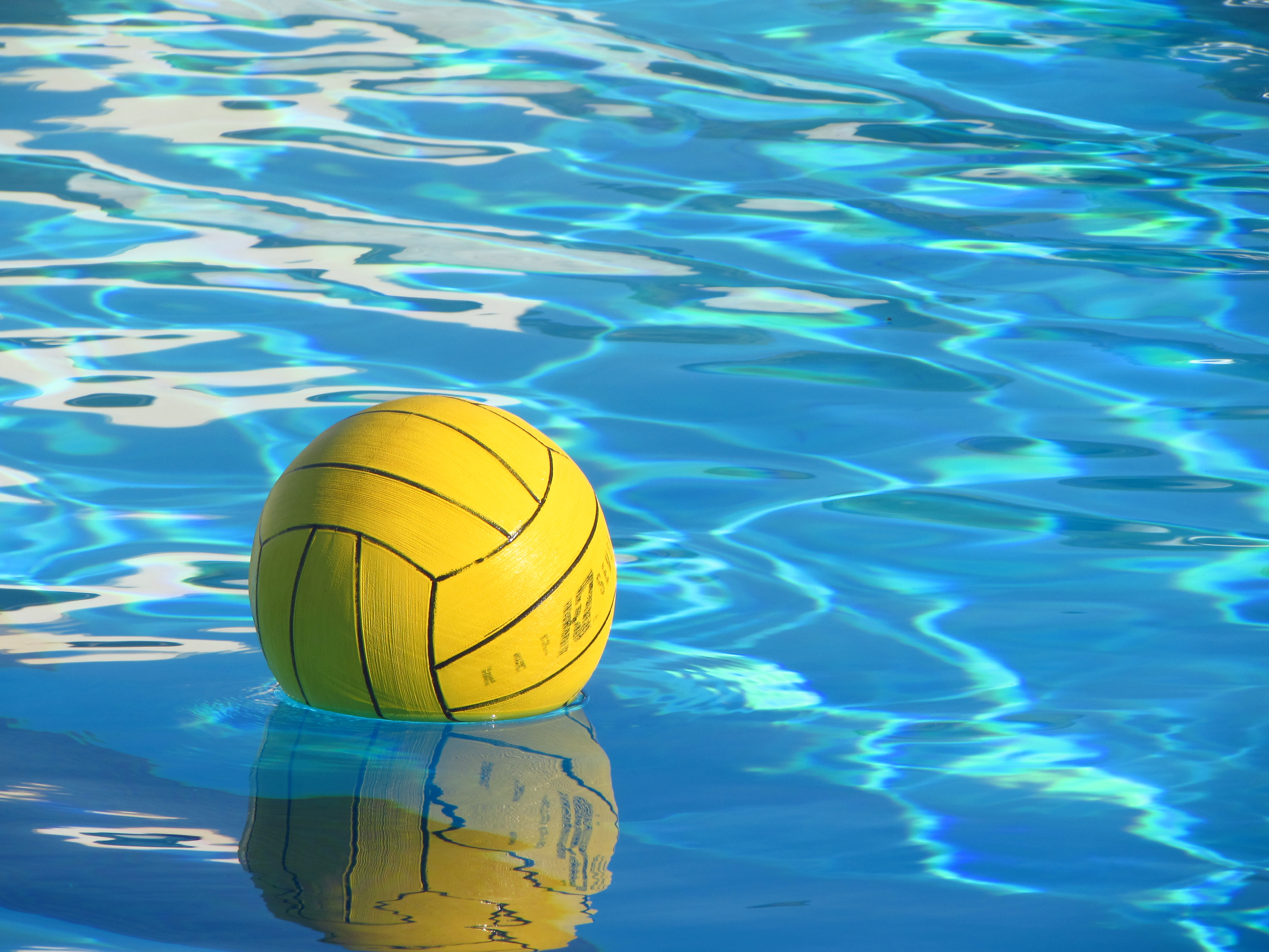 Water Polo Wallpaper Image Photos Pictures Background