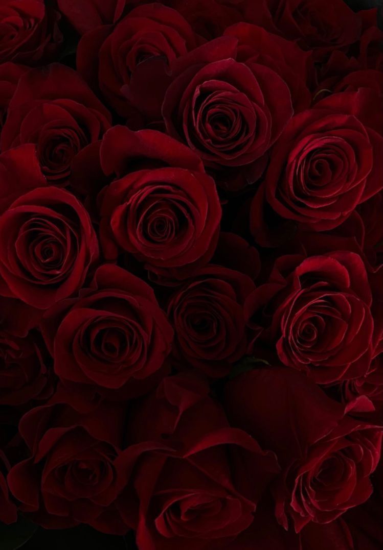 55fa63d41b7249a3f05c9949f0a9ef99 Wallpaper