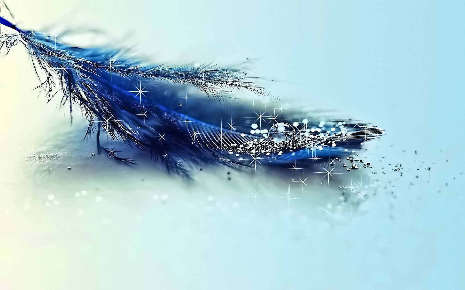 Feather Desktop Wallpaper Glitter Blue Background