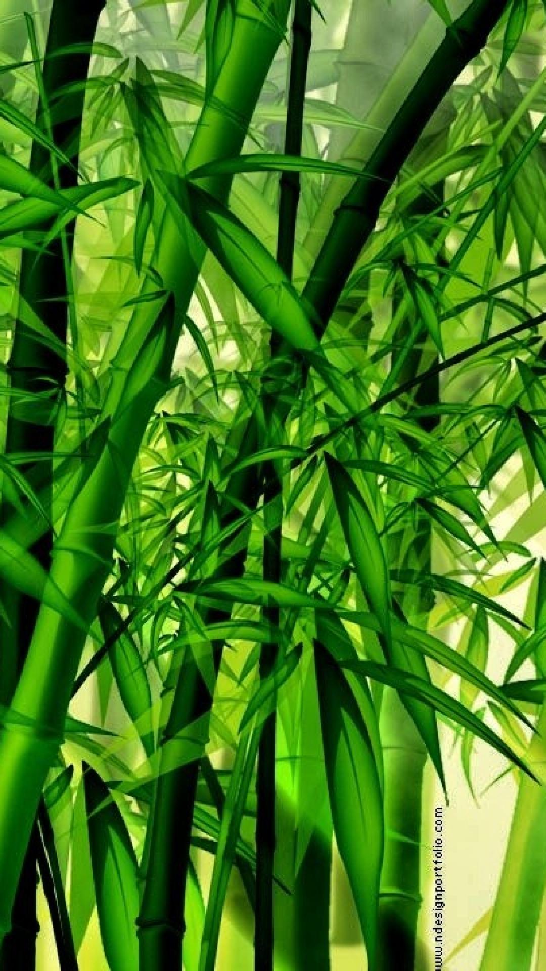 Bamboo iPhone Wallpaper On