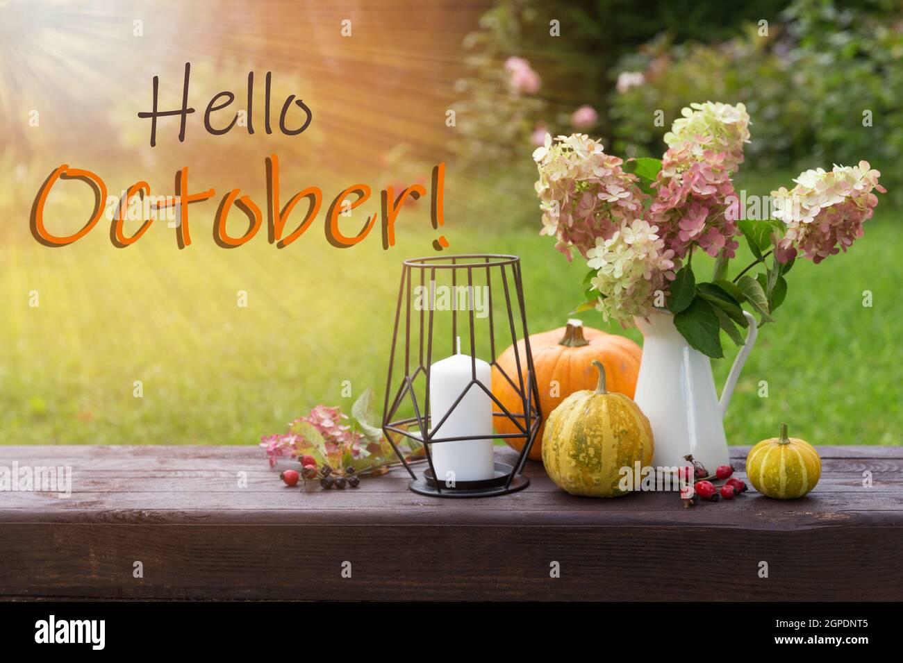 Hello October wallpaper autumn background with hydrangea flowers