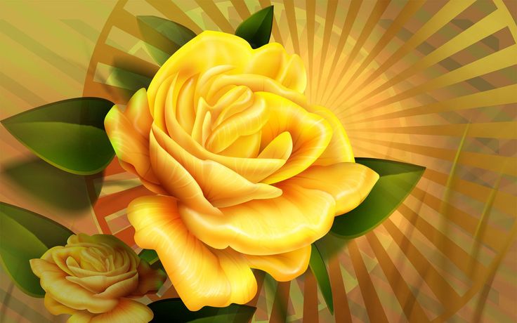 Rare Rose Wallpaper Yellow Widescreen