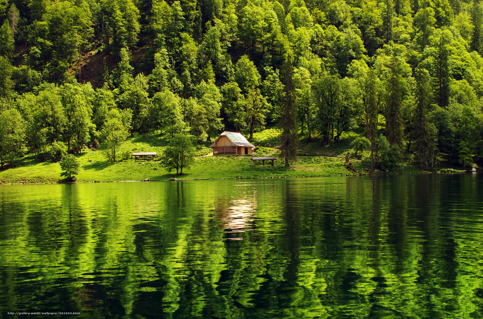 Wallpaper Forest Lake Cabin Landscape Desktop