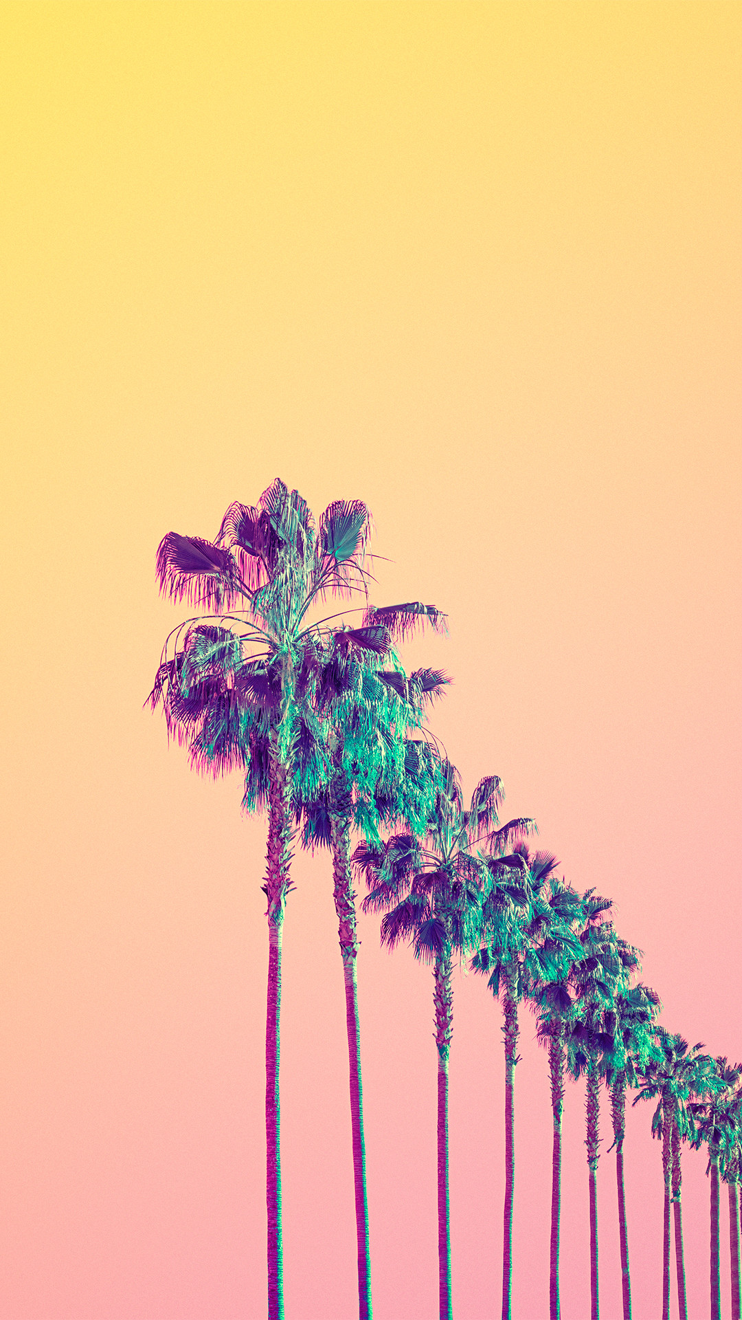 Trendy Aesthetic Wallpaper