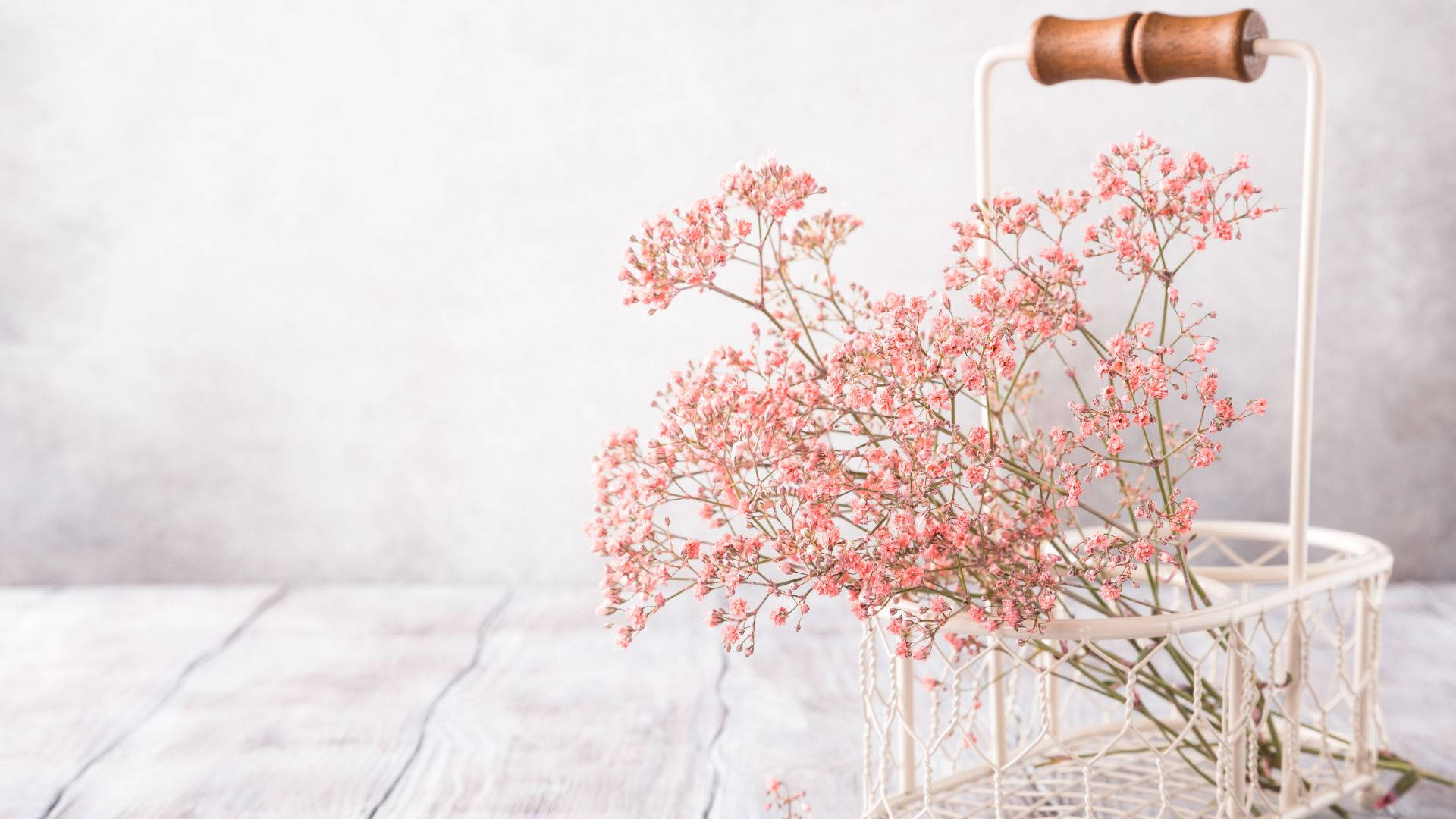 Baby Pink Wallpaper