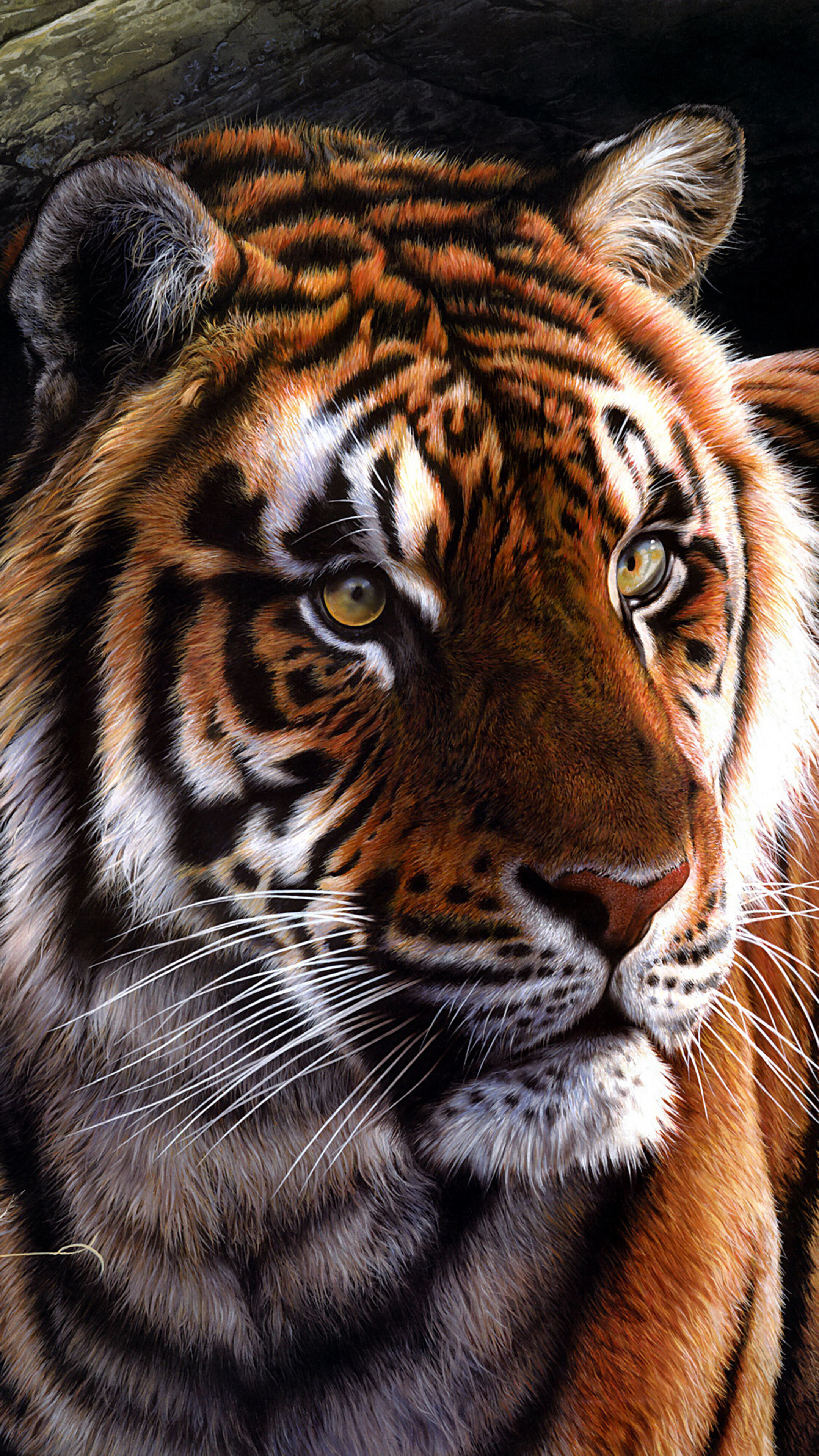 White Tiger Art 4K Wallpaper iPhone HD Phone #7001l