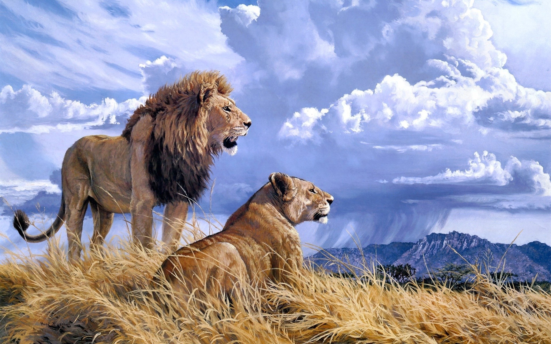 A majestic male and female lion stand watch over the savanna as a storm gathers in the distance. Lions Wallpapers