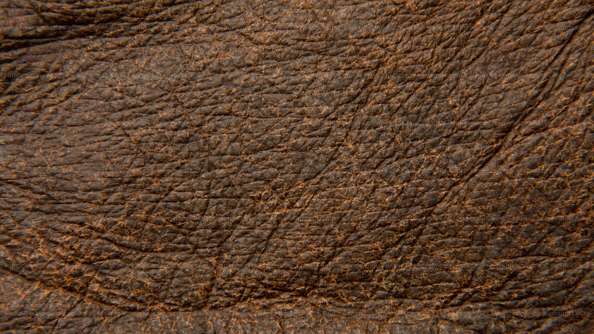 Texture Textured Wallpaper Brown Rough TextureImage Leather