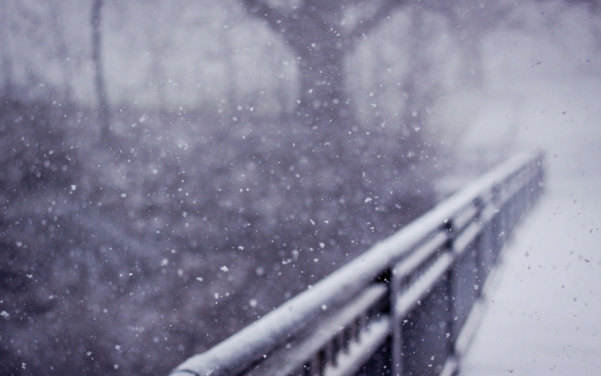 Beautiful Snow Rain In Winter HD Wallpaper