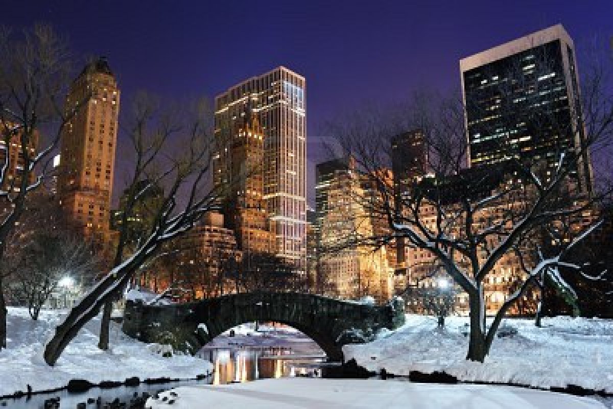 Funny Gallery Central Park Winter Night