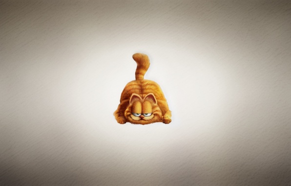 Wallpaper Garfield Cat Red Plump Sly Face Light