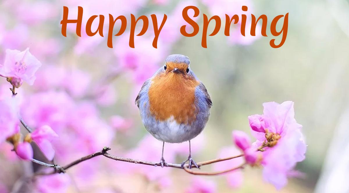 Happy Spring Wishes Equinox HD Image Gif Greetings