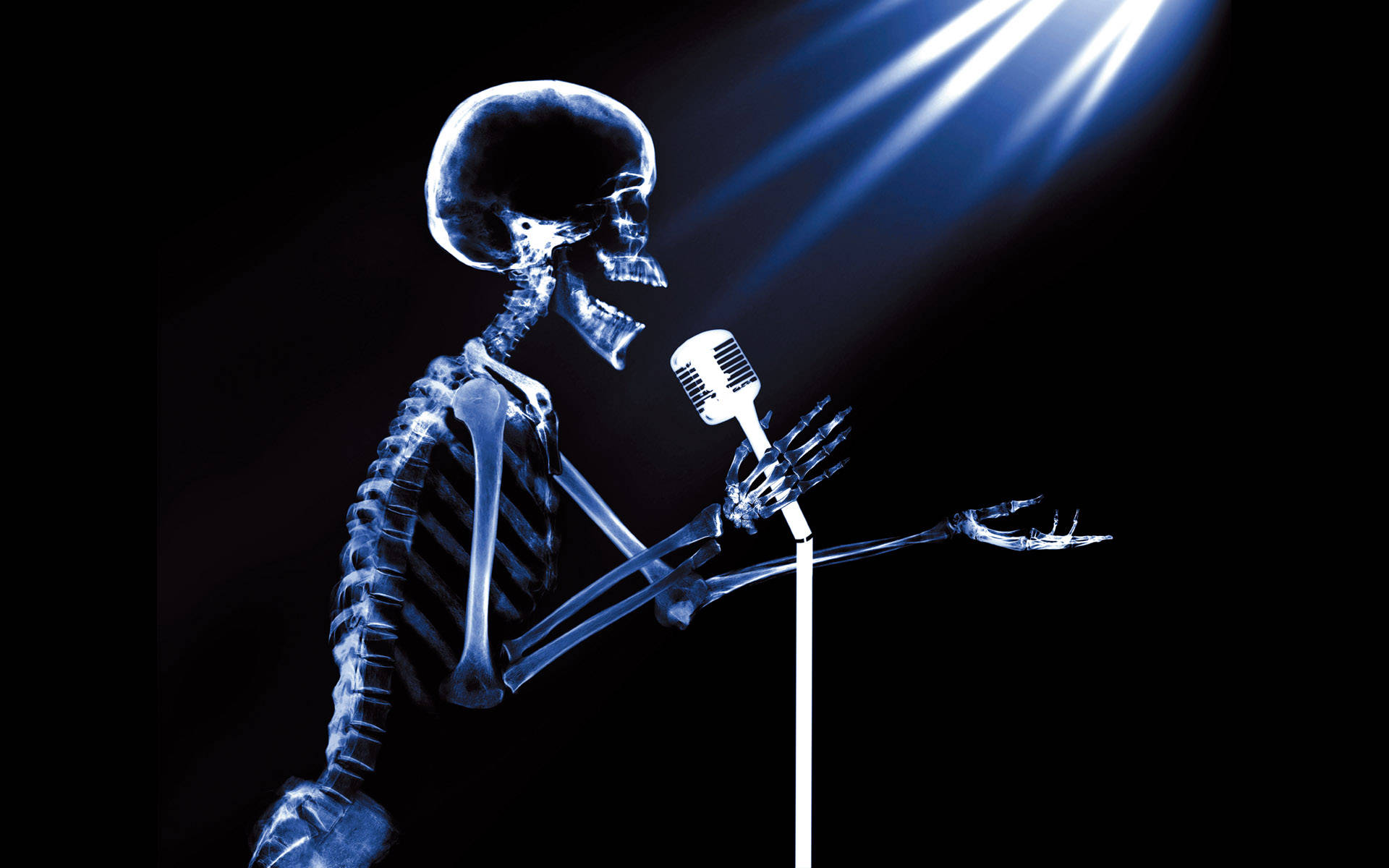 Skeleton Meme Wallpaper