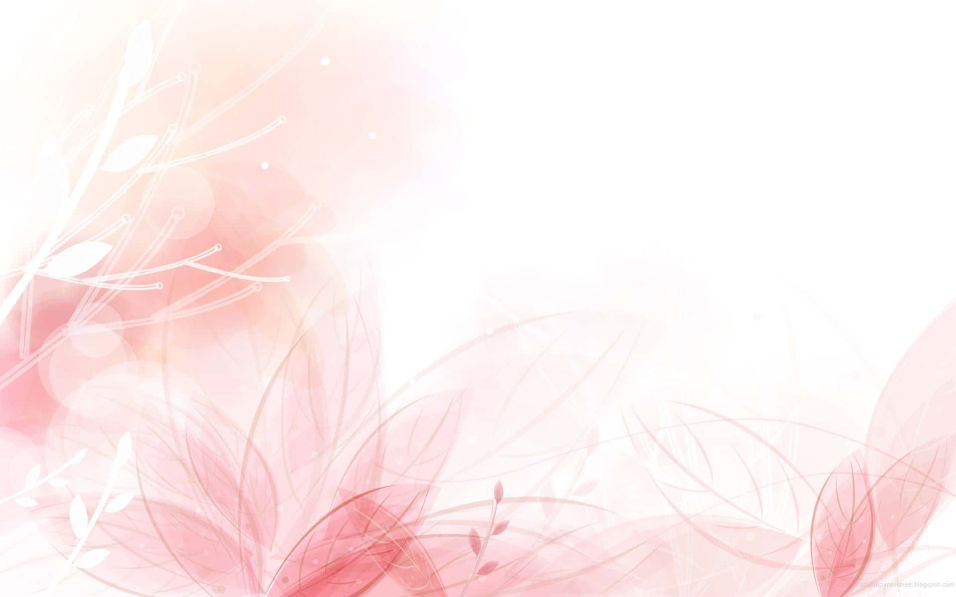 Plain Pink Desktop Wallpaper