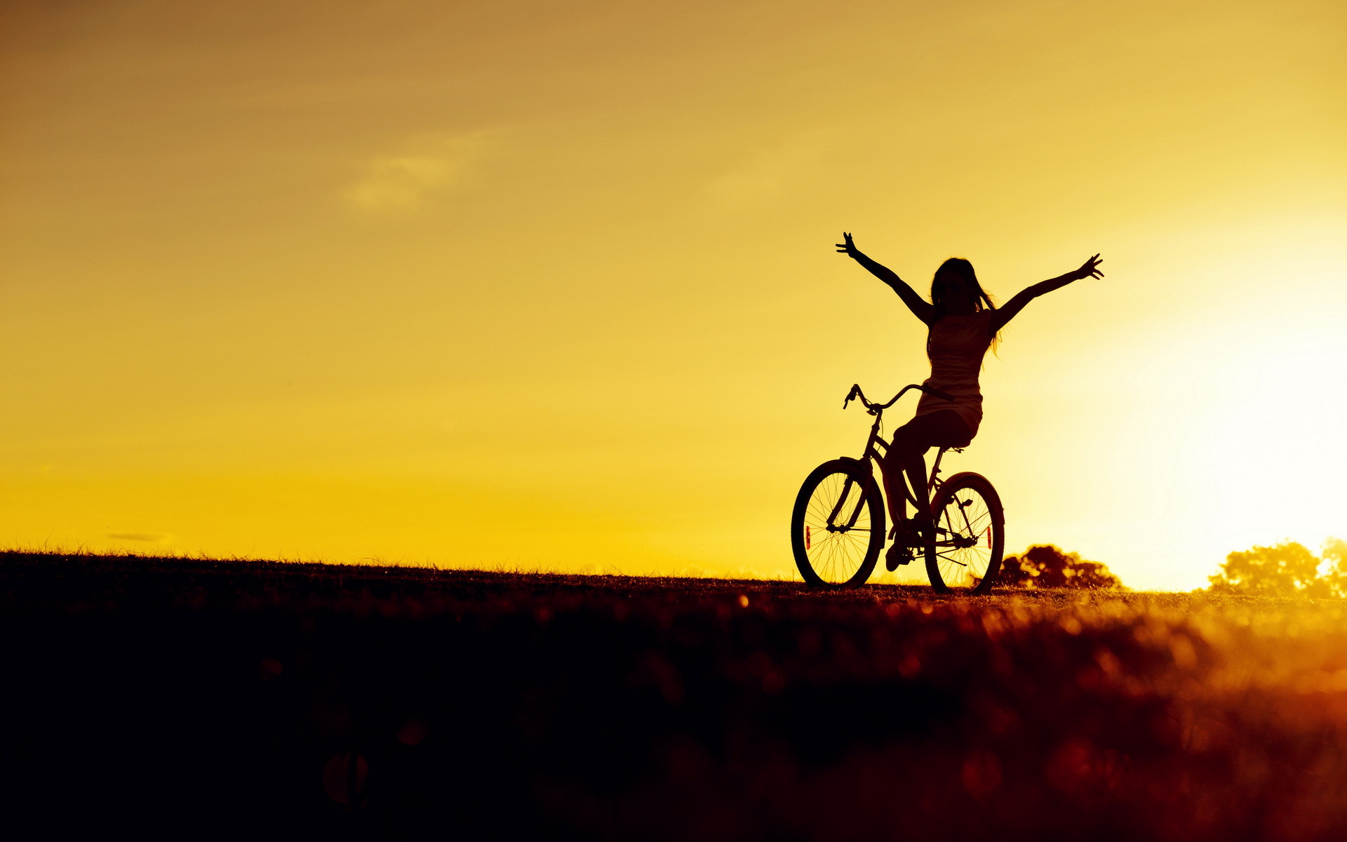 Girl Bicycle Sunset HD Wallpaper