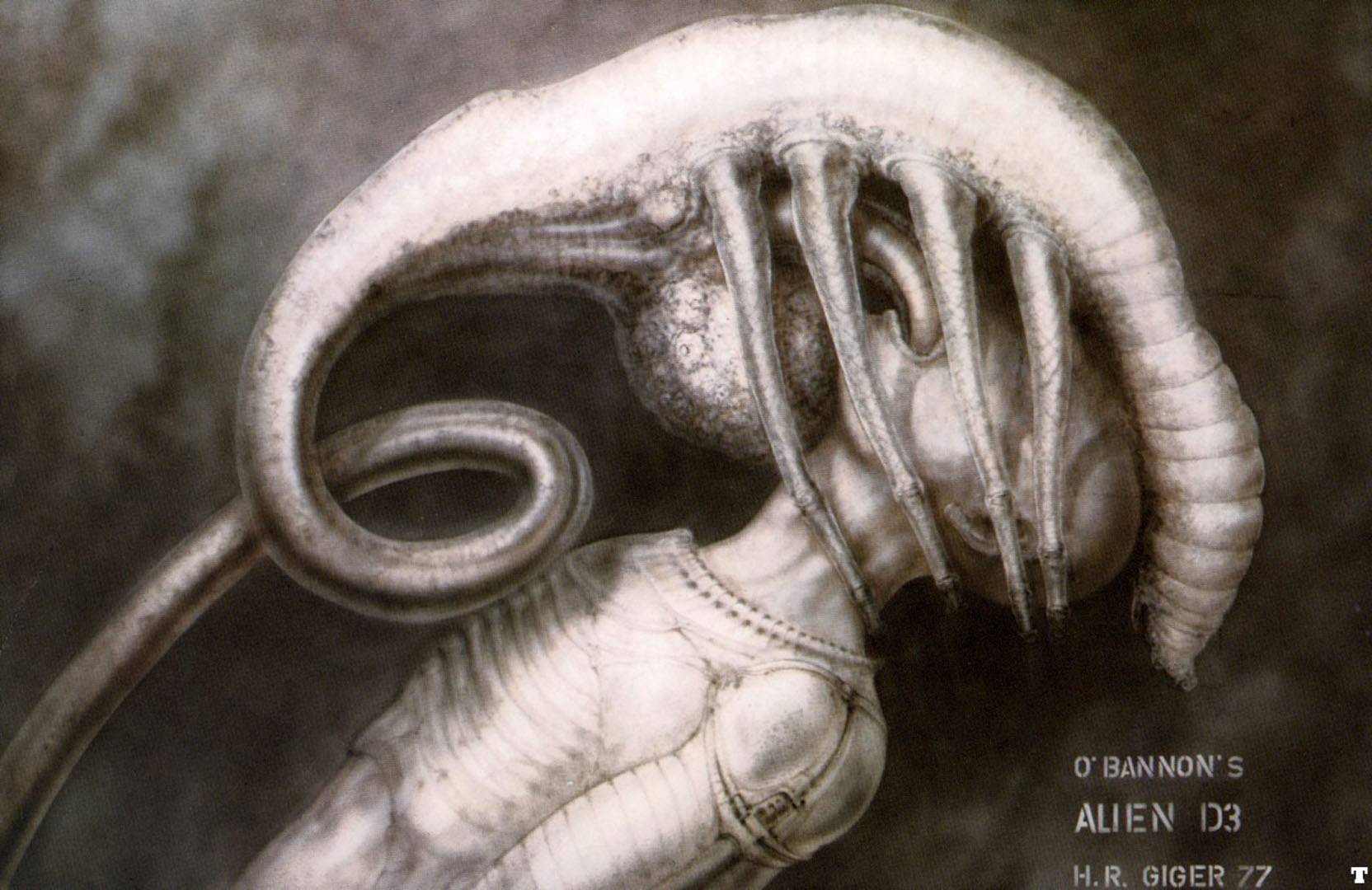 Facehugger I Science Fiction H R Giger