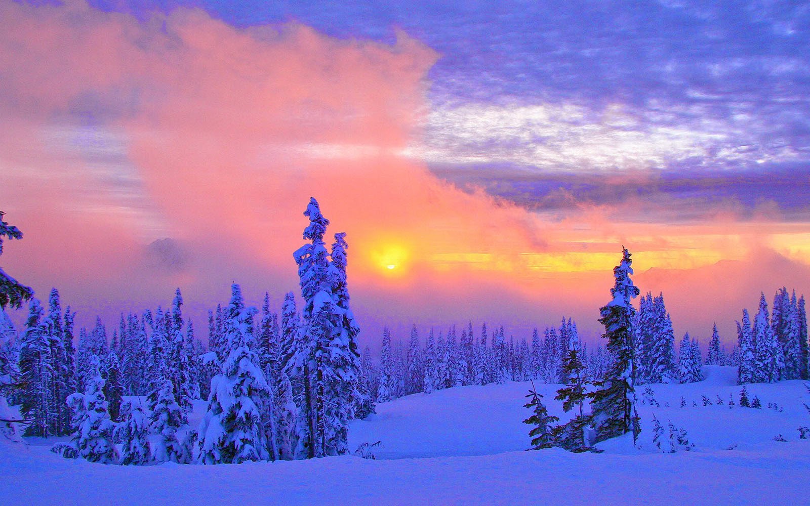 Beautiful Winter Scenery Wallpaper Beautifulwinter Desktop