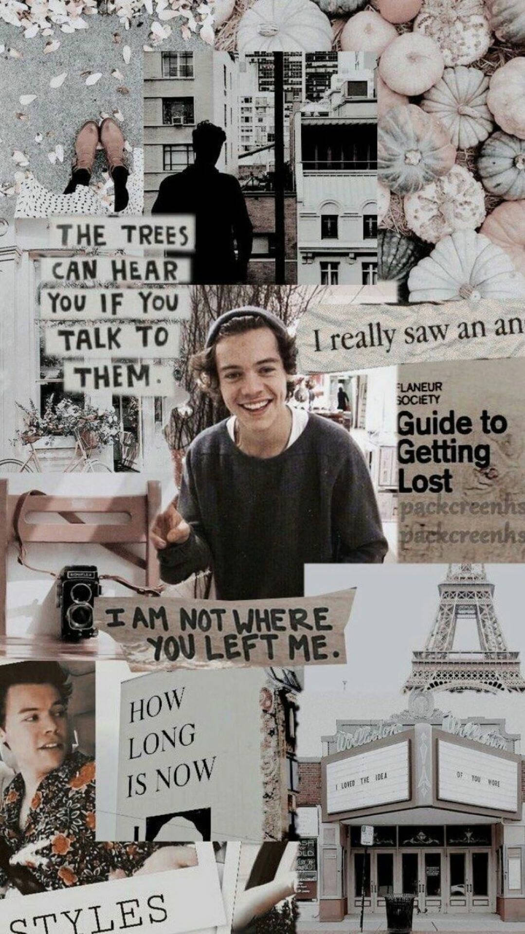 Harry Styles Wallpaper