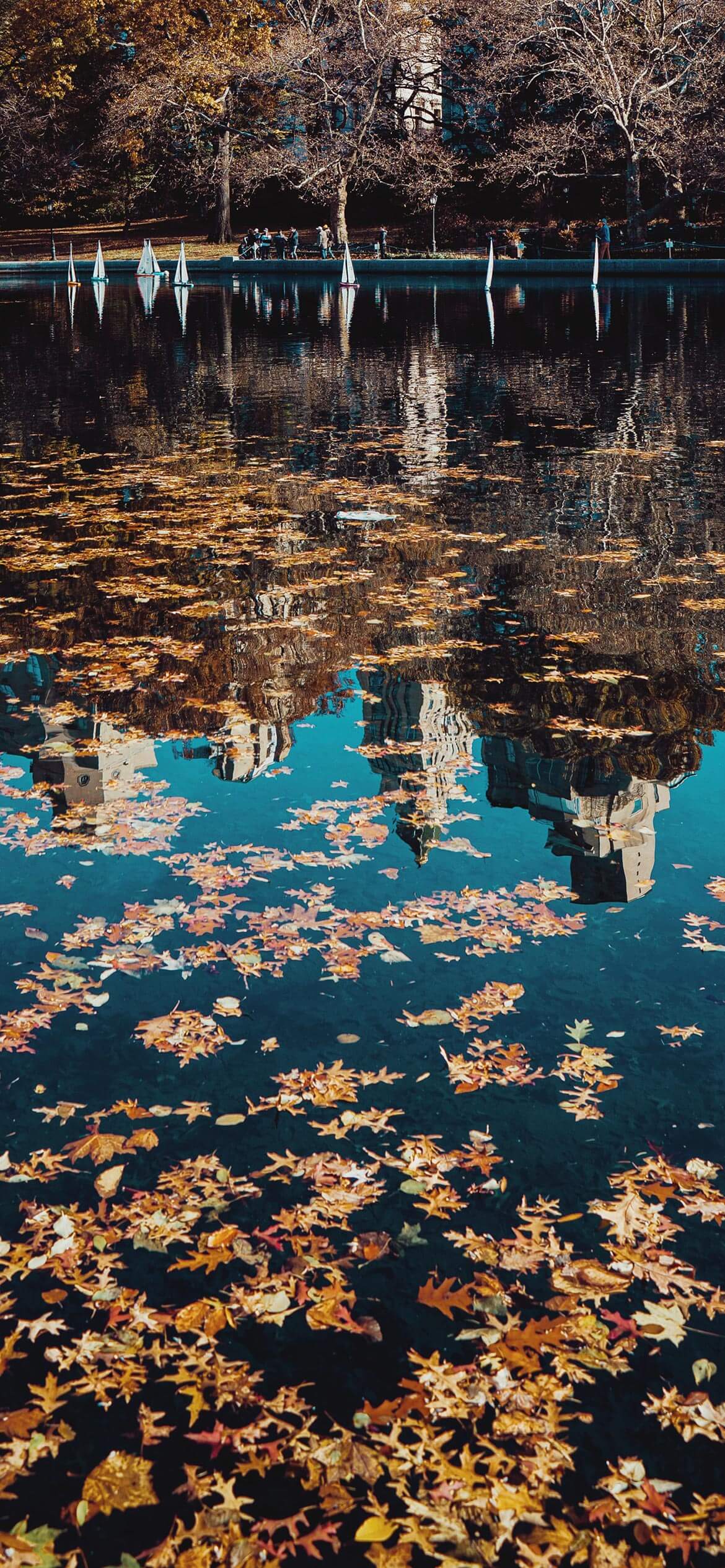 Calm Relaxing Wallpaper