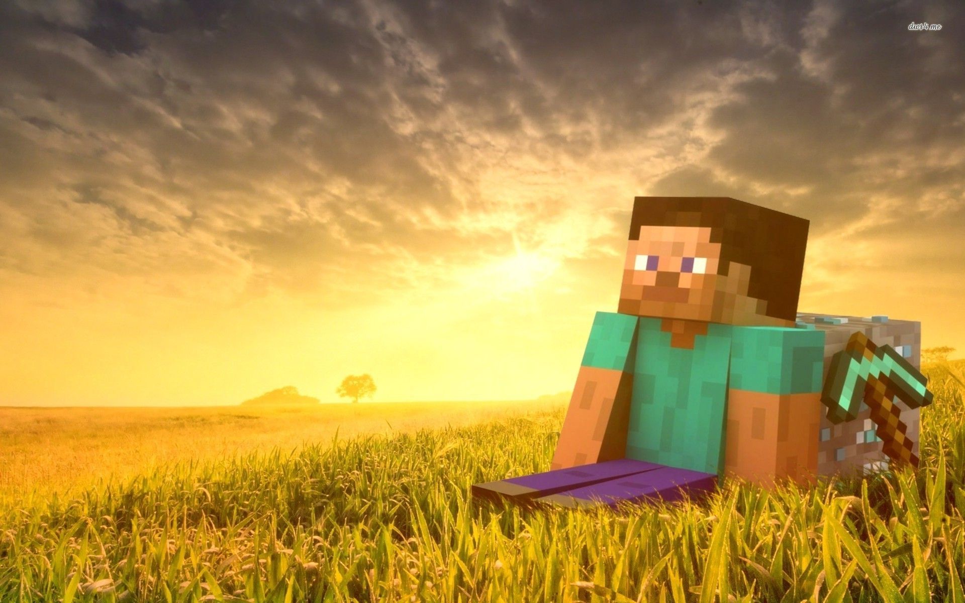 Minecraft Steve HD Wallpaper On