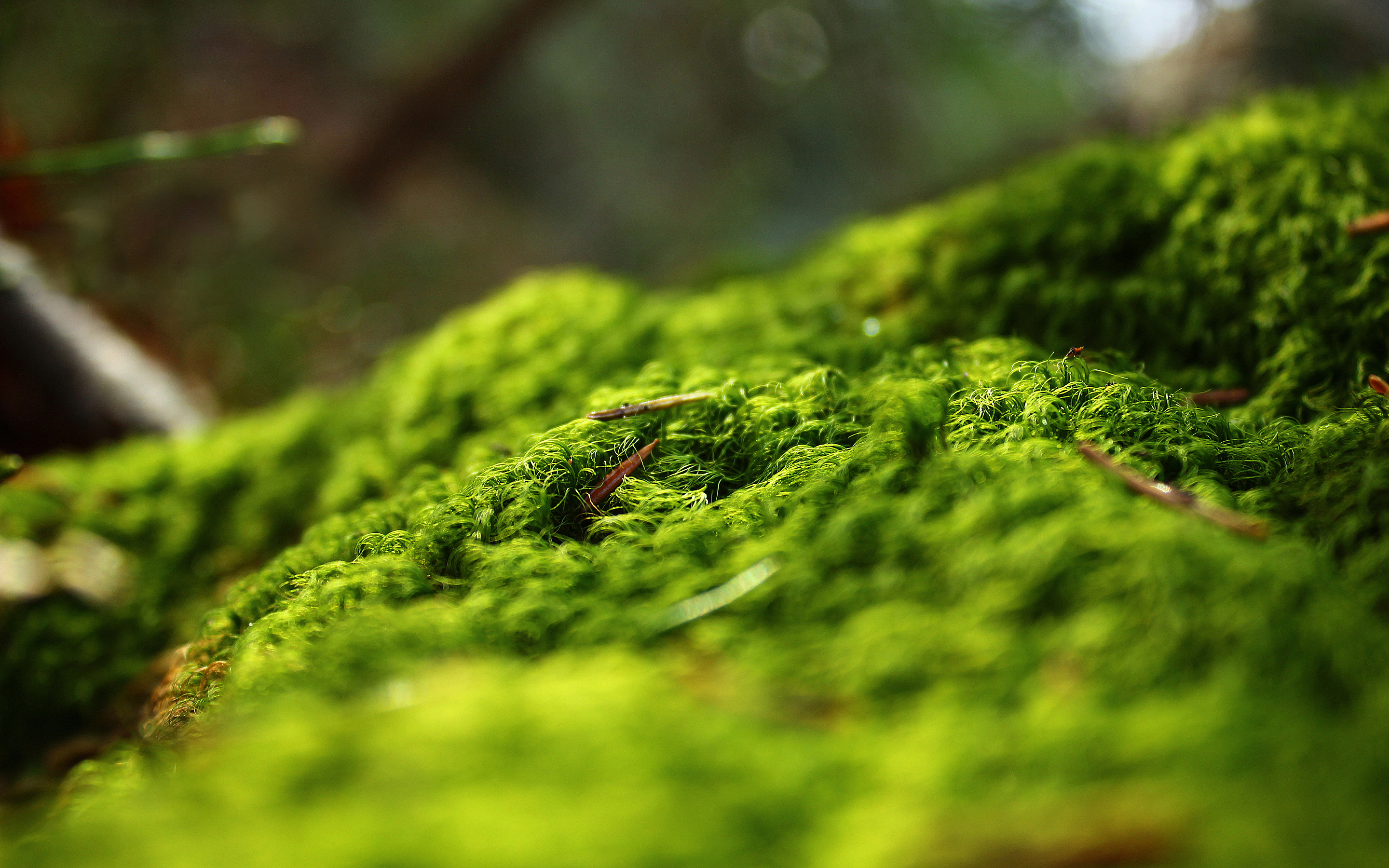 Greenish Background