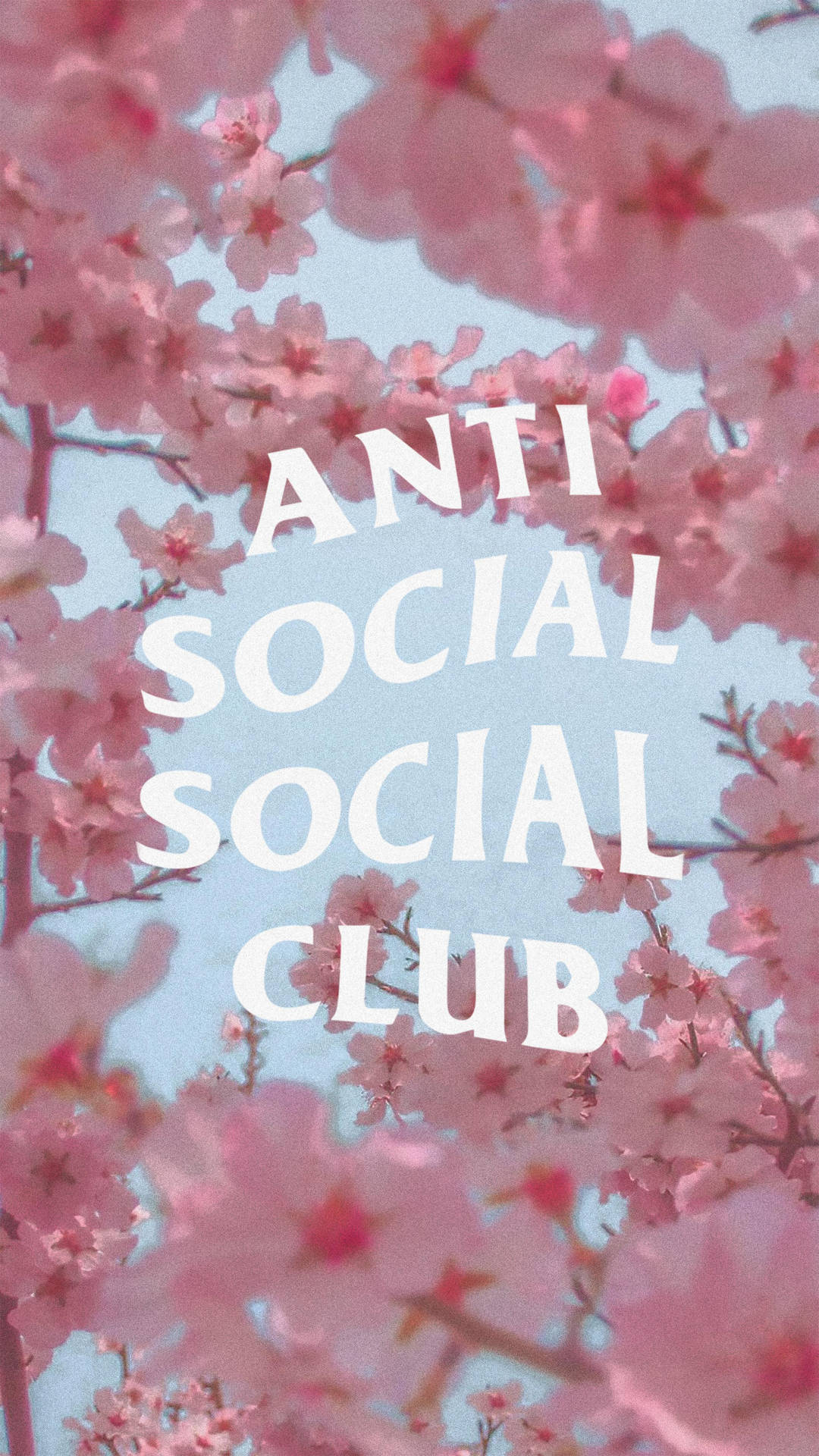 Anti Social Club Wallpaper