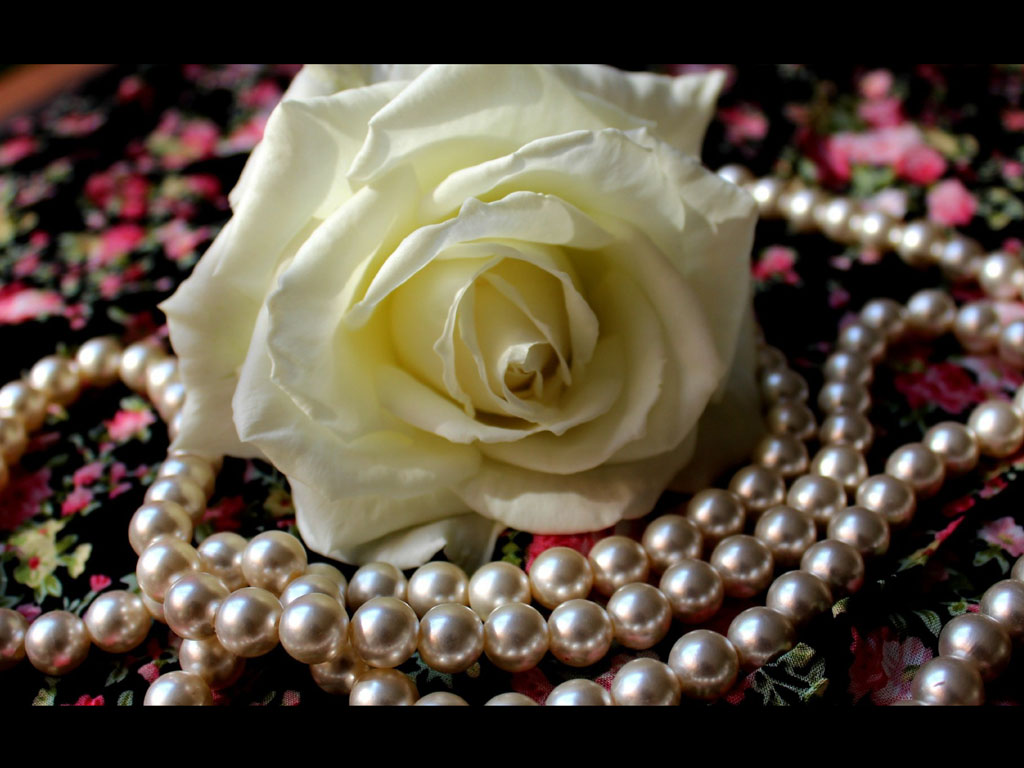 Pearls With Flowers Wallpapers Pearls With Flowers Desktop Wallpapers 1024x768