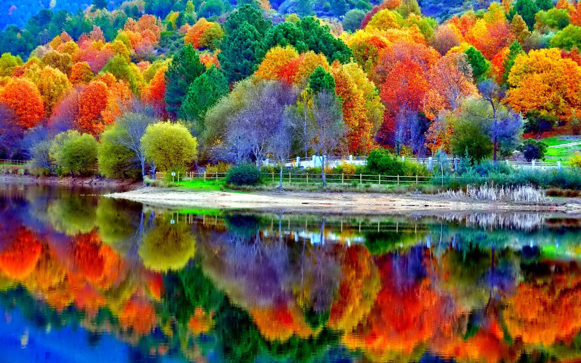 Beautiful Autumn Lake Scenery Wallpaper