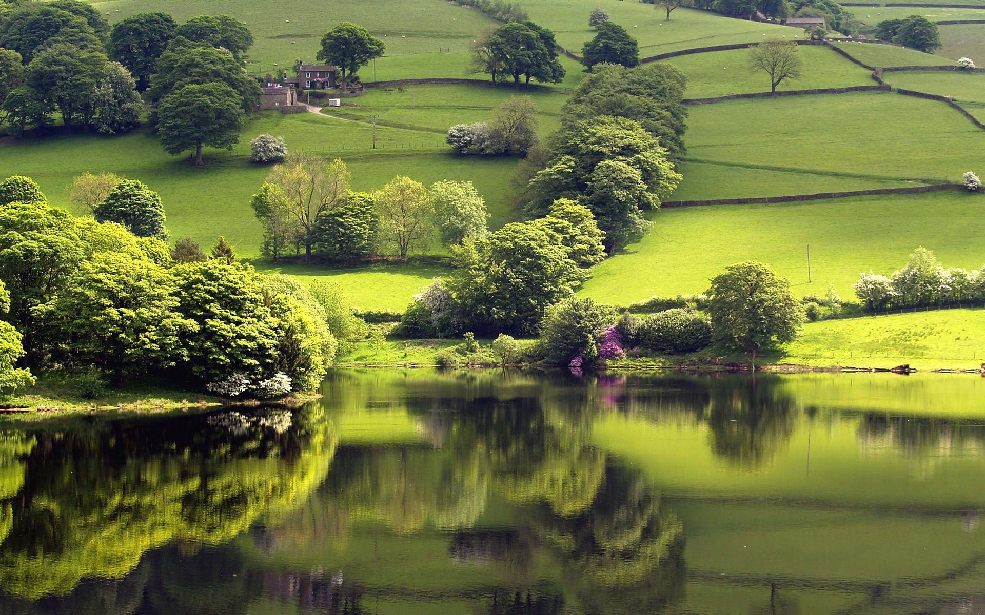 Beautiful Nature Wallpaper