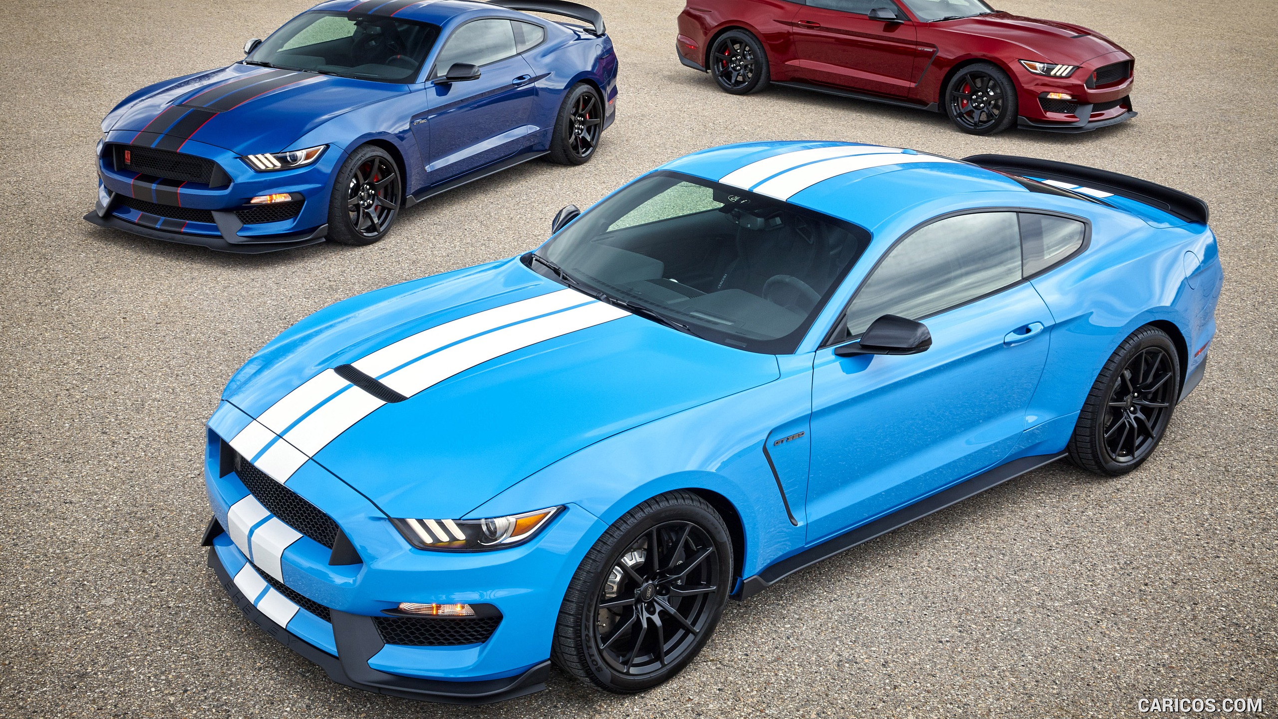 Ford Mustang Shelby Gt350 And Gt350r Top HD Wallpaper