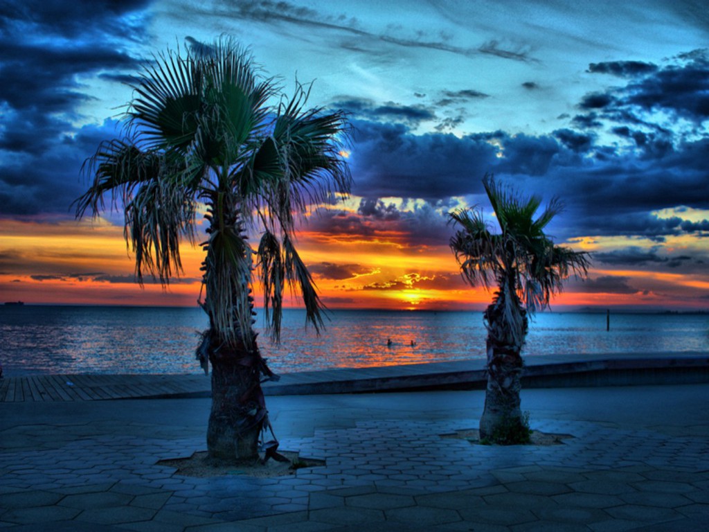 palm trees sunset pictures palm trees sunset pictures palm trees