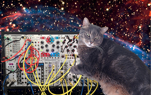 Cat A Synthesizer Outer Space And Couple Modular Patches