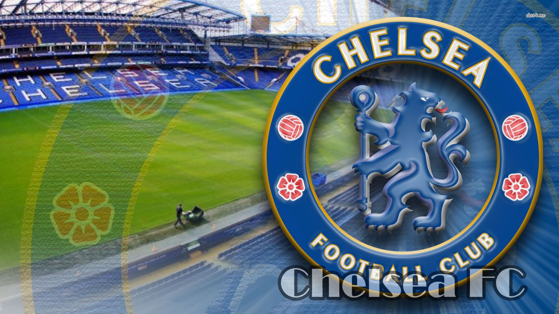 Chelsea Fc Wallpaper Gambar Logo
