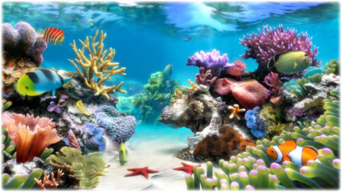 Sim Aquarium 3d