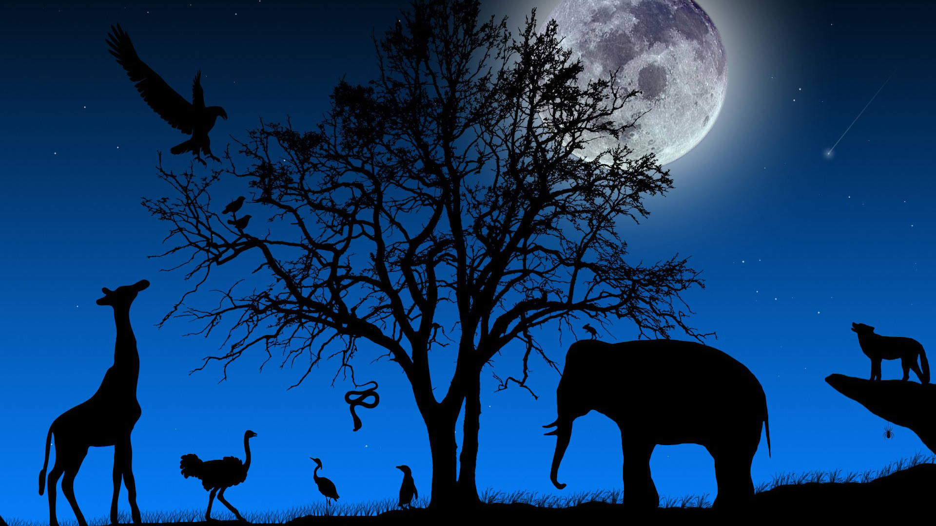 African Art Wallpaper
