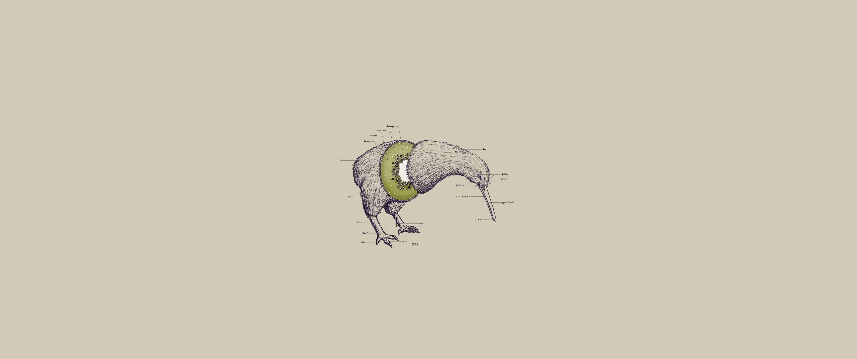 Minimal Pack Wallpaper