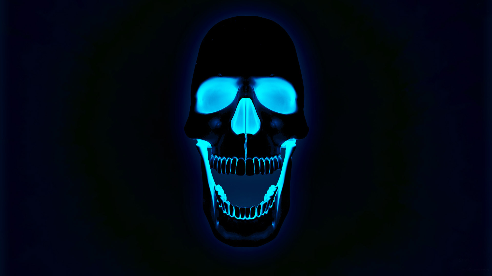 HD Skull Wallpaper