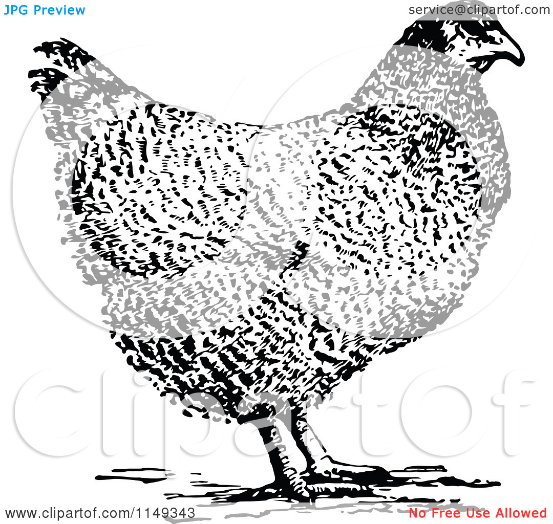 Clipart Of A Retro Vintage Black And White Hen Chicken Royalty
