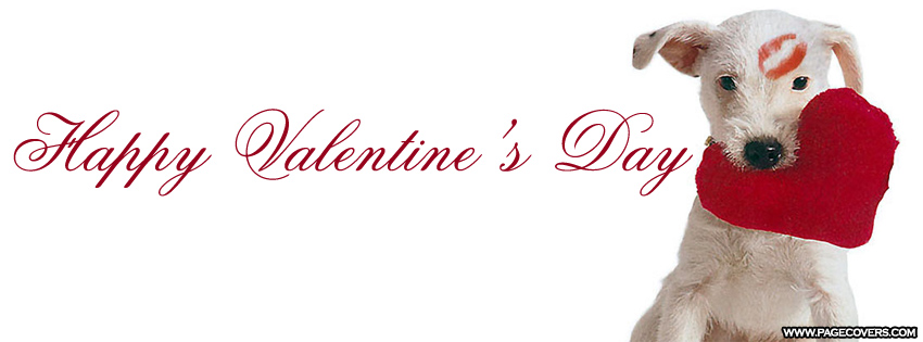 Wallpaper Background Happy Valentines Day Timeline Cover