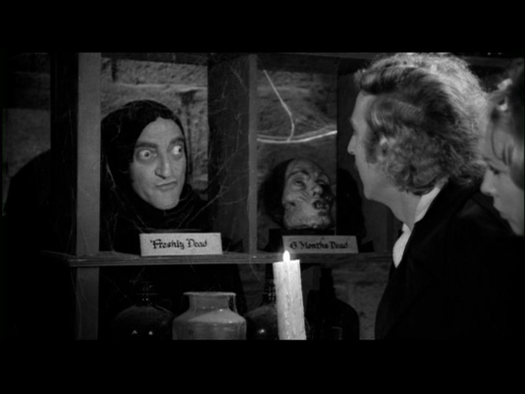 Young Frankenstein Image