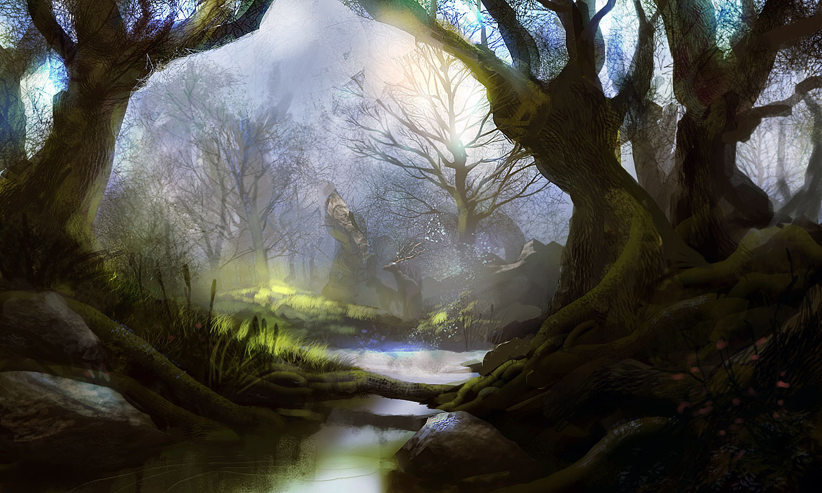 Mystic Forest By Pe Travers